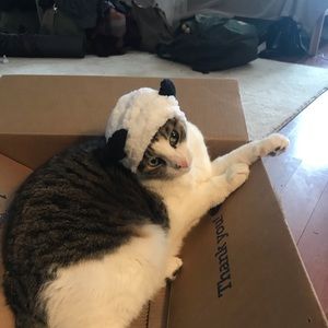 Meet your Posher, Kate